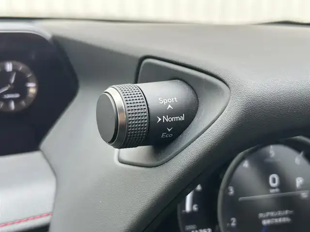 レクサス ＵＸ 群馬県 2020(令2)年 4.2万km グラファイトブラックガラスフレーク レクサスセーフティセンス/・PKSA/・RSA/・先行車発進/純正SDナビ/（AM/FM/CD/SD/USB/AUX）/フルセグTV/バックカメラ/電動リアゲート/レーダークルコン/パワーシート/レザーシート/メモリーシート/シートヒーター（D席/N席）/ステアリングヒーター/ステアリングスイッチ/ETC/ドラレコ/パドルシフト/LEDヘッドライト/純正フロアマット/純正ドアバイザー/保証書/取扱説明書