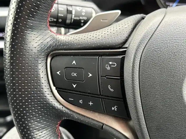 レクサス ＵＸ 群馬県 2020(令2)年 4.2万km グラファイトブラックガラスフレーク レクサスセーフティセンス/・PKSA/・RSA/・先行車発進/純正SDナビ/（AM/FM/CD/SD/USB/AUX）/フルセグTV/バックカメラ/電動リアゲート/レーダークルコン/パワーシート/レザーシート/メモリーシート/シートヒーター（D席/N席）/ステアリングヒーター/ステアリングスイッチ/ETC/ドラレコ/パドルシフト/LEDヘッドライト/純正フロアマット/純正ドアバイザー/保証書/取扱説明書