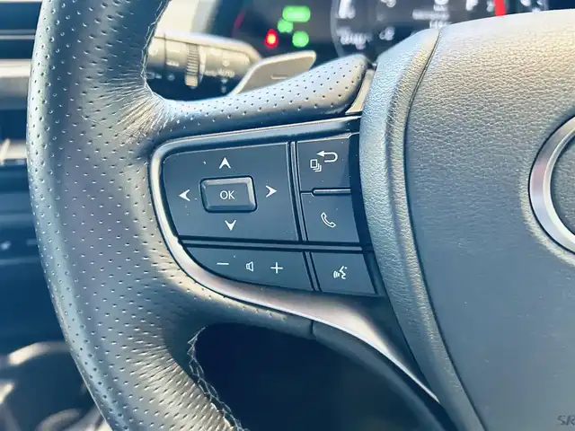 レクサス ＵＸ 250h Fスポーツ 大阪府 2021(令3)年 2.8万km ホワイトノーヴァガラスフレーク 純正ナビ/TV/360度カメラ/ACC/ブラインドスポット/純正18インチAW/LEDヘッドライト/電動リアゲート/クリアランスソナー/レザーシート/パワーシート/シートヒーター/Dシートメモリ/ステアリングヒーター