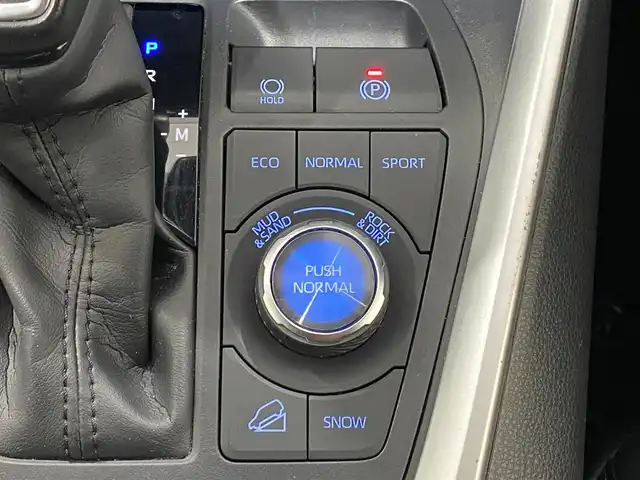 トヨタ ＲＡＶ４ G Zパッケージ 岐阜県 2020(令2)年 6.9万km ホワイトパールクリスタルシャイン 純正SDナビ/-BlueTooth/CD/DVD/フルセグTV/デジタルインナーミラー/ブラインドスポットモニター/社外ドライブレコーダー/ブレーキホールド/ステアリングヒーター/シートヒーター/ドライブモードセレクト/パワーバックドア/シートメモリー/パワーシート/ユピテル製レーダー探知機/LEDヘッドライト/ステアリングスイッチ/レザーシート/スマートキー/ETC/4WD
