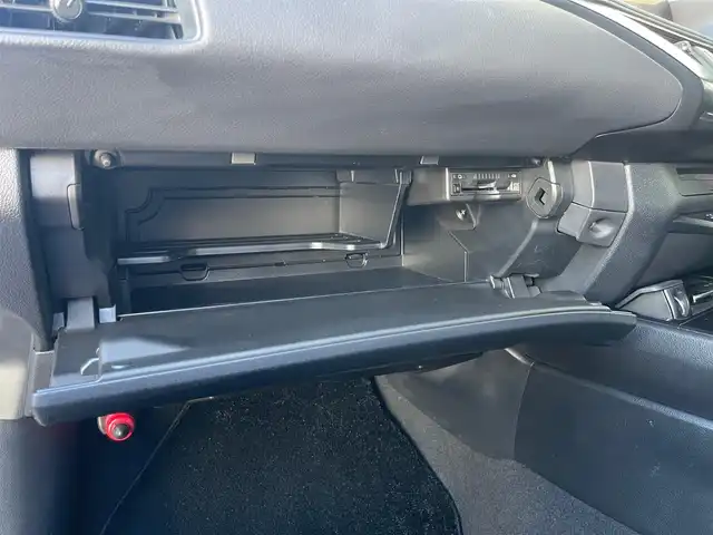 レクサス ＵＸ 250h バージョンC 山梨県 2019(令1)年 3.6万km ソニッククォーツ 三眼ＬＥＤヘッド/アダプティブハイビーム/レーダークルーズ/ＬＫＡ/ＢＳＡ/黒革（Ｌｔａｘ）/前席シートヒーター　/ハンドルヒーター　/純正メモリナビ　/フルセグ　/全方位カメラ（パノラマビュー）/シートメモリ　/純正１７インチアルミ