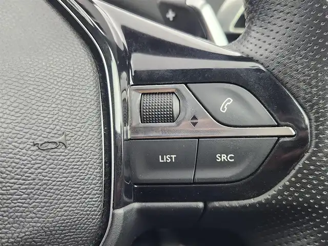 プジョー ３００８ GTライン ブルー HDi 愛知県 2020(令2)年 4.1万km GRISHURRICANE サンルーフ　/ナビ　/バックカメラ　/ＢＳＭ　/置くだけ充電　/ハーフレザー　/シートヒーター　/パワーシート　/ドラレコ　/ルーフレール　/パドルシフト　/USB　/アルミホイール　/LEDライト　/取説　/記録簿