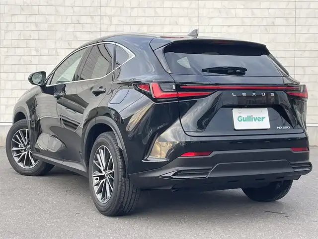 レクサス ＮＸ 250 岐阜県 2025(令7)年 0.3万km グラファイトブラックガラスフレーク パノラマルーフ/ブラインドスポットモニタ　/ヘッドアップディスプレイ　/純正メーカーナビ（フルセグ・Bluetooth・USB)　/レクサスセーフティシステムプラス/クリアランスソナー/ブラックレザーシート　/前席シートヒーター・エアシート　/純正ドライブレコーダー　/パノラミックビューカメラ/パワーバックドア/革巻きステアリング/ステアリングスイッチ/ステアリングヒーター/LEDヘッドライト/フロントフォグランプ/オートマチックハイビーム/ビルトインETC2.0/純正18インチアルミホイール
