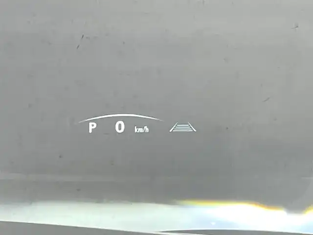 レクサス ＮＸ 250 岐阜県 2025(令7)年 0.3万km グラファイトブラックガラスフレーク パノラマルーフ/ブラインドスポットモニタ　/ヘッドアップディスプレイ　/純正メーカーナビ（フルセグ・Bluetooth・USB)　/レクサスセーフティシステムプラス/クリアランスソナー/ブラックレザーシート　/前席シートヒーター・エアシート　/純正ドライブレコーダー　/パノラミックビューカメラ/パワーバックドア/革巻きステアリング/ステアリングスイッチ/ステアリングヒーター/LEDヘッドライト/フロントフォグランプ/オートマチックハイビーム/ビルトインETC2.0/純正18インチアルミホイール