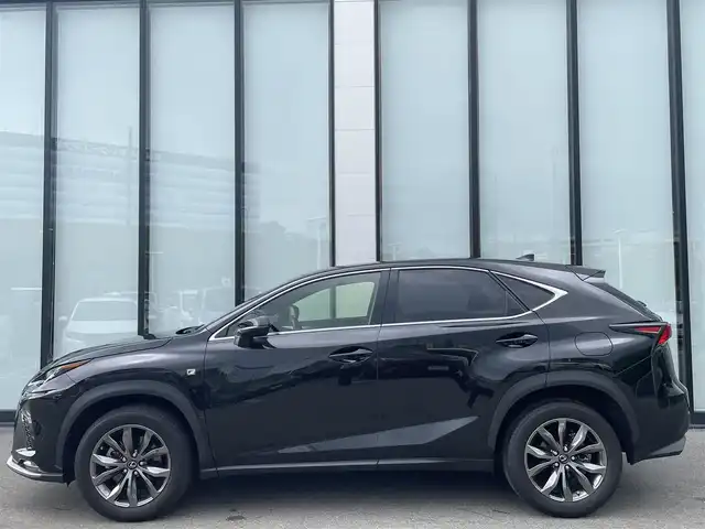 レクサス ＮＸ 300 Fスポーツ 大阪府 2018(平30)年 3.3万km グラファイトブラックガラスフレーク 純正１０．３インチナビ/   フルセグTV/CD/DVD/Bluetooth/USB/全方位モニター/衝突軽減ブレーキ/横滑り防止装置/コーナーセンサー/サンルーフ/ヘッドアップディスプレイ/前席エアシートヒーター/パワーシート/レーダークルーズコントロール/レーンキープアシスト/パドルシフト/アイドリングストップ/電動リアゲート/オートマチックハイビーム/１００Ｖ電源/純正18インチアルミホイール/純正フロアマット/プッシュスタート/スマートキー/ＥＴＣ/三眼ＬＥＤライト
