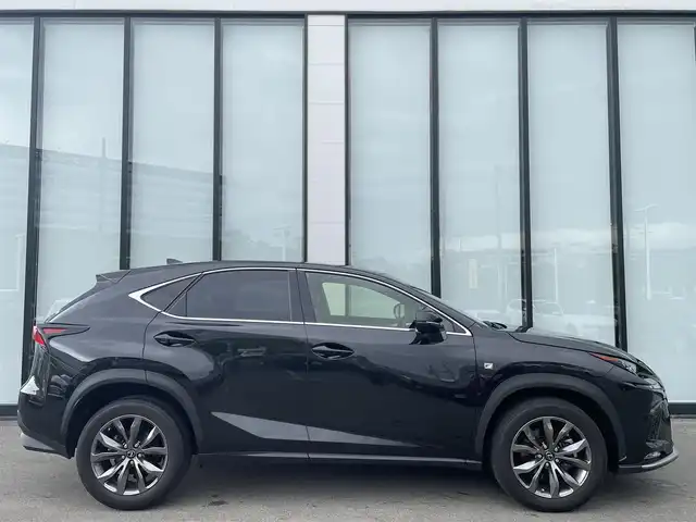 レクサス ＮＸ 300 Fスポーツ 大阪府 2018(平30)年 3.3万km グラファイトブラックガラスフレーク 純正１０．３インチナビ/   フルセグTV/CD/DVD/Bluetooth/USB/全方位モニター/衝突軽減ブレーキ/横滑り防止装置/コーナーセンサー/サンルーフ/ヘッドアップディスプレイ/前席エアシートヒーター/パワーシート/レーダークルーズコントロール/レーンキープアシスト/パドルシフト/アイドリングストップ/電動リアゲート/オートマチックハイビーム/１００Ｖ電源/純正18インチアルミホイール/純正フロアマット/プッシュスタート/スマートキー/ＥＴＣ/三眼ＬＥＤライト