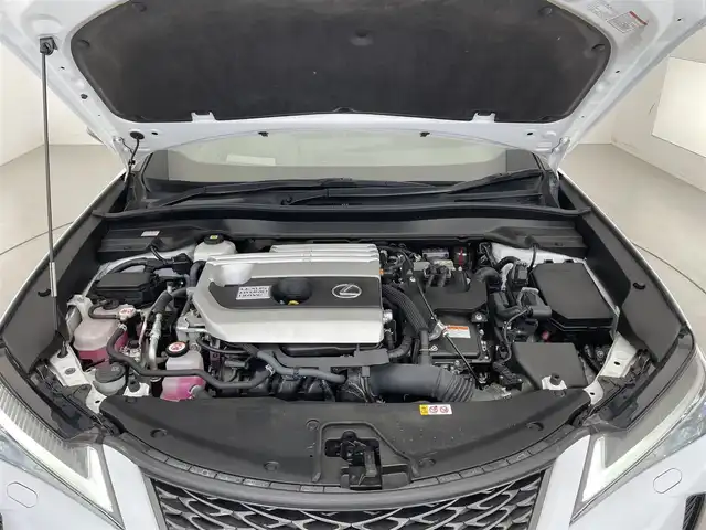 レクサス ＵＸ 250h Fスポーツ スタイルブルー 滋賀県 2021(令3)年 4.3万km ホワイトノーヴァガラスフレーク 純正ナビ/CD/DVD/Bluetooth/フルセグテレビ/パノラミックビューモニター/サンルーフ/ブラインドスポットモニター/パーキングサポートブレーキ/セーフティセンスプラス/・プリクラッシュセーフティ/・レーントレーシングアシスト/・オートマチックハイビーム/・レーダークルーズコントロール/・先行車発進告知機能/・ロードサインアシスト/フルブラックドアミラー/ヘッドアップディスプレイ/パワーシート/シートヒーター/ハンドルヒーター/クリアランスソナー/パドルシフト/前後ドライブレコーダー/プッシュスタート/スマートキー/スペアキー