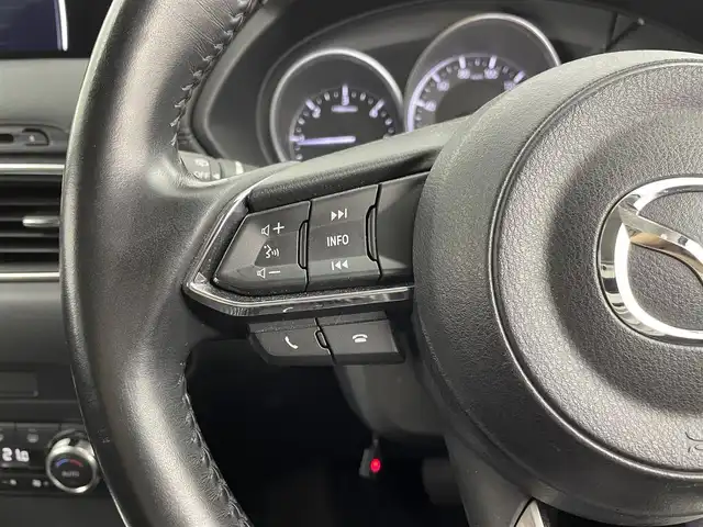 マツダ ＣＸ－５ XD プロアクティブ 群馬県 2017(平29)年 6.5万km マシーングレープレミアムM 純正ナビ　ＢＯＳＥサウンド　バックカメラ　レーダークルーズコントロール　車線逸脱警報　パワーバックドア　ブラインドスポットモニター　ルーフキャリアー　衝突軽減ブレーキ　ＬＥＤヘッドライト　ＥＴＣ