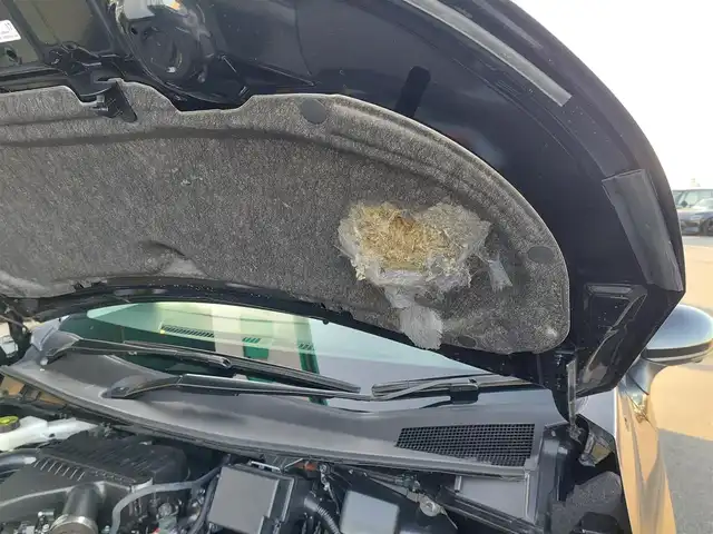 日産 オーラ G レザーエディション 東京都 2025(令7)年 0.2万km 黒 プロパイロット/純正ナビ/アラウンドビューモニター/フルセグ/ビルトインETC2.0/ドライブレコーダー/BOSEスピーカー/ワイヤレス充電/レザーシート/パワーシート/インテリジェントルームミラー/エマージェンシーブレーキ/レーンキープアシスト/ブラインドスポットモニター/コーナーセンサー/LEDヘッドライト