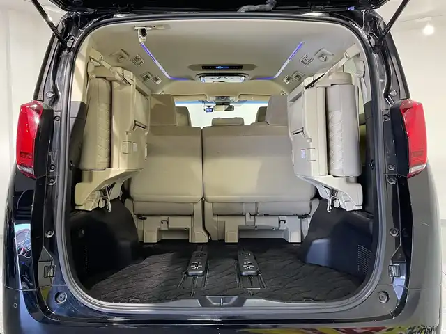 トヨタ アルファード X 愛知県 2019(令1)年 5.3万km ブラック ＡＬＰＩＮＥ９インチナビ/両側パワースライドドア/フリップダウンモニター/レーダークルーズコントロール/衝突軽減ブレーキ/クリアランスソナー/車線逸脱警報/電動パーキングブレーキ/ブレーキホールド/バックカメラ/前後ドライブレコーダー/ビルトインＥＴＣ/アクセサリーソケット/ダブルゾーン/ISOFIX/LEDヘッドライト/オートハイビーム/純正16インチアルミホイール