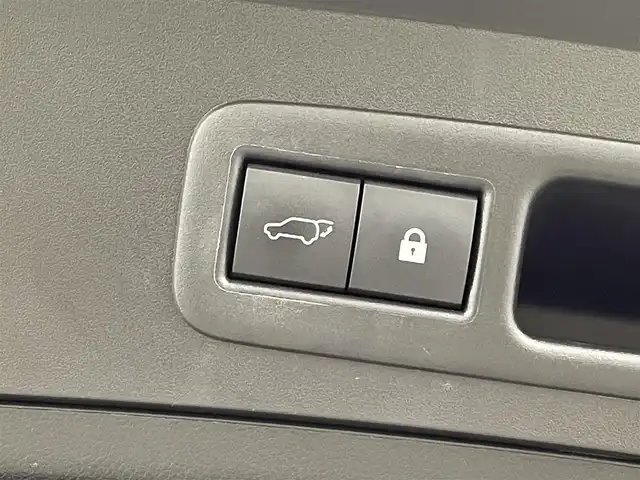 レクサス ＵＸ 250h Fスポーツ 岡山県 2020(令2)年 4.9万km ホワイトノーヴァガラスフレーク TRDフルエアロ/ムーンルーフ/白革シート/純正10.3インチメモリナビ/(CD/DVD/Carplay/USB/BT/フルセグTV)/レーダークルーズコントロール/衝突軽減ブレーキ/ビルトインETC2.0/シートヒーター/LEDヘッドライト/バックカメラ/ドライブレコーダー/ブラインドスポットモニター/ステアリングヒーター/D/N席パワーシート/電動リアゲート/前後コーナーセンサー/オートハイビーム/プッシュスタート/スマートキー/純正フロアマット/純正18インチアルミホール/新車保証書/取扱説明書/スペアキー×1/カードキー×１