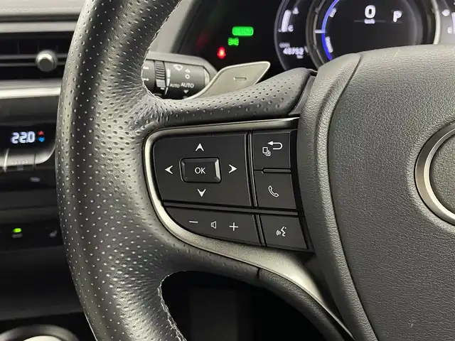 レクサス ＵＸ 250h Fスポーツ 岡山県 2020(令2)年 4.9万km ホワイトノーヴァガラスフレーク TRDフルエアロ/ムーンルーフ/白革シート/純正10.3インチメモリナビ/(CD/DVD/Carplay/USB/BT/フルセグTV)/レーダークルーズコントロール/衝突軽減ブレーキ/ビルトインETC2.0/シートヒーター/LEDヘッドライト/バックカメラ/ドライブレコーダー/ブラインドスポットモニター/ステアリングヒーター/D/N席パワーシート/電動リアゲート/前後コーナーセンサー/オートハイビーム/プッシュスタート/スマートキー/純正フロアマット/純正18インチアルミホール/新車保証書/取扱説明書/スペアキー×1/カードキー×１