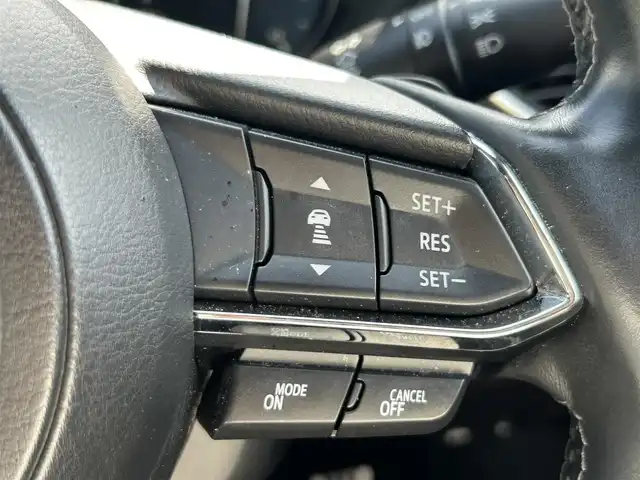 マツダ ＣＸ－８ XD Lパッケージ 愛知県 2019(平31)年 4.6万km ジェットブラックマイカ 純正ナビ/フルセグTV/BT/BOSEサウンドシステム/全方位カメラ/ETC/純正19インチAW/レーダークルーズコントロール/クリアランスソナー /パワーバックドア/レザーシート/前席パワーシート（D席メモリー付き）/前席＋2列目シートヒーター /前席エアシート /ハンドルヒーター /LEDヘッドライト/取説、保証書/スペアキー