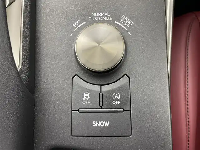 レクサス ＩＳ 200t Fスポーツ 群馬県 2017(平29)年 4.2万km グラファイトブラックガラスフレーク 三眼LEDヘッドライト/ブラインドスポットモニター/純正メーカーナビ/・レクサスISプレミアムサウンドシステム/・10.3インチワイドディスプレイ/・CD/DVD/SD(MSV)/Bluetooth/フルセグTV/“F SPORT”専用ファブリック/L texスポーツシート/＝＝＝＝＝＝＝＝＝＝＝＝＝＝＝＝/三眼ＬＥＤヘッドライト　ＢＳＭ　純正１０．３インチナビ　バックカメラ　ハーフレザー　パワーシート　シートヒーター　ステアリングヒーター　追従クルーズコントロール　ドライブレコーダー　ＥＴＣ２．０　禁煙