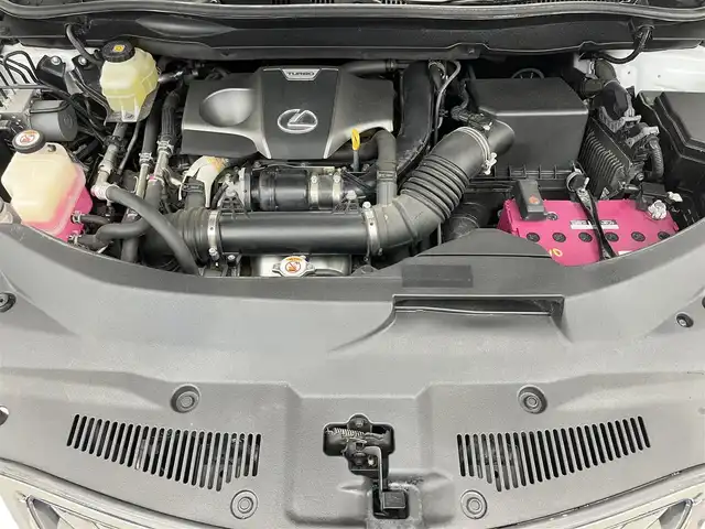 レクサス ＲＸ 300 Fスポーツ 滋賀県 2020(令2)年 6.6万km ホワイトノーヴァガラスフレーク 禁煙車/純正ナビ/CD.DVD.Bluetooth.フルセグ/全方位カメラ/プリクラッシュセーフティ/レーンキープアシスト/追従クルーズコントロール/クリアランスソナー/ビルトインETC2.0/サンルーフ/赤レザーシート/全席シートヒーター/前席シートベンチレーション/ステアリングヒーター/オートマチックハイビーム/オートライト/オートブレーキホールド/LEDヘッドライト/スマートキー
