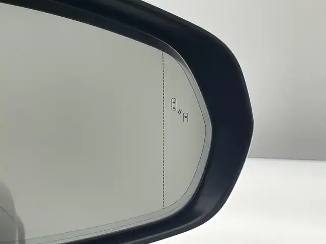 レクサス ＮＸ 300h バージョンL 愛知県 2019(令1)年 4.6万km グラファイトブラックガラスフレーク 純正ナビ（フルセグ/Bluetooth/CD/USB）/ブラインドスポットモニター/アラウンドビューモニター/アダプティブクルーズコントロール/レーンキープアシスト/コーナーセンサー/パワーシート/シートヒーター/エアシート/メモリシート/革巻きステアリング/ステアリングヒーター/純正アルミホイール/純正ドアバイザー/純正フロアマット/LEDヘッドライト/オートライト/オートマチックハイビーム/スマートキー×2/プッシュスタート