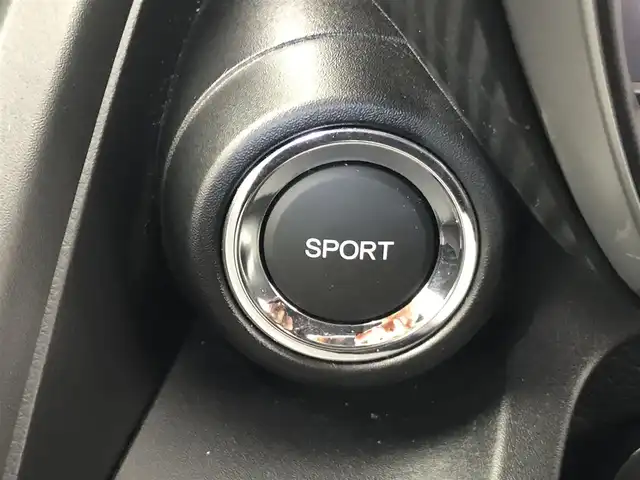 ホンダ Ｓ６６０ α 愛知県 2019(平31)年 3.6万km ナイトホークブラックパール 純正ディスプレイオーディオ/（ラジオ/BT/スマホ連動/車両連動）/HDMI/ホロルーフ/パドルシフト/バックカメラ/クルコン/ETC/横滑り防止/純正AW/LEDヘッドライト/フォグランプ