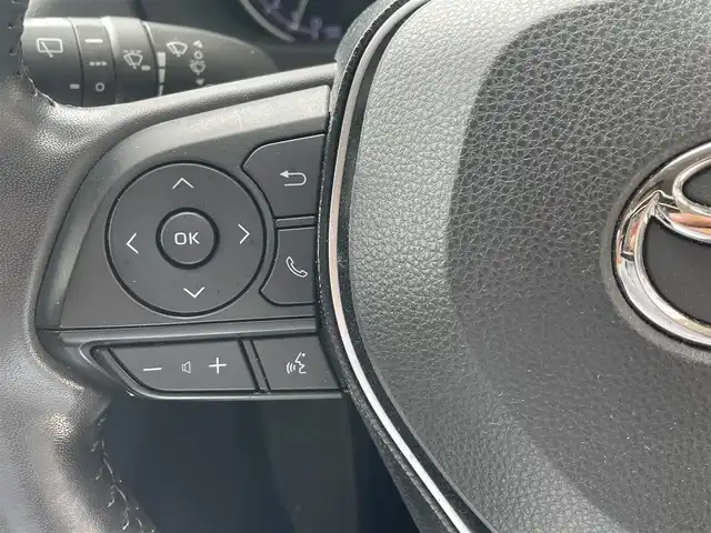 トヨタ ＲＡＶ４ アドベンチャー 愛知県 2020(令2)年 3.7万km Ｌグリーン ワンオーナー　/純正ＳＤナビ　/フルセグ　/バックカメラ　/ステアリングヒーター　/ベンチレーション　/シートヒーター　/バックカメラ　/ＩＣＳ　/ＬＤＡ　/ＡＨＢ　/レーダークルーズ　/Ｂｌｕｅｔｏｏｔｈ　/パワーシート