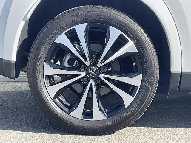 レクサス ＵＸ 250h Fスポーツ エモーショナルエクスプローラ 和歌山県 2023(令5)年 1.7万km ブラック/ホワイトノーヴァガラスフレーク 三眼LEDヘッドライト/純正メーカーナビ/パノラミックビューモニター/プリクラッシュセーフティー/レーダークルーズコントロール/レーンディパーチャーアラート/HUD/純正アルミホイール/純正フロアマット/パワーバックドア/純正ビルトインETC２，０/パワーシート/シートヒーター/シートエアベンチレーション/ステアリングヒーター/フォグランプ/オートライト/オートマチックハイビーム