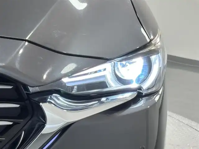 マツダ ＣＸ－８ XD Lパッケージ 愛知県 2019(平31)年 2.5万km マシーングレープレミアムM 純正１０．２５インチナビ　/（Bluetooth/FM/AM/フルセグTV/SD/AppleCarPlay/AndroidAuto/AYX/CD・DVD再生）/BOSEサウンド/３６０°ビューモニター　/衝突軽減ブレーキ　/レーダークルーズコントロール　/ＣＤ／ＤＶＤ再生　/シートヒーター　/電動バックドア　/ドライブレコーダー　/ＬＥＤヘッドライト/LEDフォグランプ/ETC/前席パワーシート（D席メモリー機能付）/ステアリングヒーター/ブラインドスポットモニター/クリアランスソナー/ヘッドアップディスプレイ/レーンキープアシスト/純正フロアマット/純正19インチAW/後席サンシェード/ISOFIX