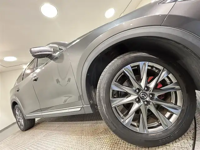マツダ ＣＸ－８ XD Lパッケージ 愛知県 2019(平31)年 2.5万km マシーングレープレミアムM 純正１０．２５インチナビ　/（Bluetooth/FM/AM/フルセグTV/SD/AppleCarPlay/AndroidAuto/AYX/CD・DVD再生）/BOSEサウンド/３６０°ビューモニター　/衝突軽減ブレーキ　/レーダークルーズコントロール　/ＣＤ／ＤＶＤ再生　/シートヒーター　/電動バックドア　/ドライブレコーダー　/ＬＥＤヘッドライト/LEDフォグランプ/ETC/前席パワーシート（D席メモリー機能付）/ステアリングヒーター/ブラインドスポットモニター/クリアランスソナー/ヘッドアップディスプレイ/レーンキープアシスト/純正フロアマット/純正19インチAW/後席サンシェード/ISOFIX
