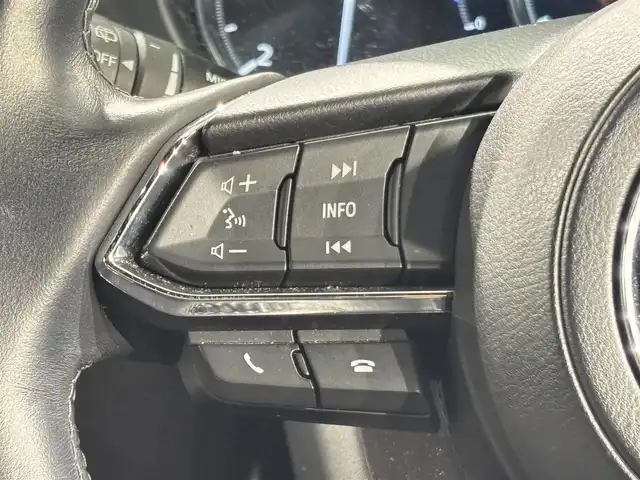 マツダ ＣＸ－８ XD Lパッケージ 愛知県 2019(平31)年 2.5万km マシーングレープレミアムM 純正１０．２５インチナビ　/（Bluetooth/FM/AM/フルセグTV/SD/AppleCarPlay/AndroidAuto/AYX/CD・DVD再生）/BOSEサウンド/３６０°ビューモニター　/衝突軽減ブレーキ　/レーダークルーズコントロール　/ＣＤ／ＤＶＤ再生　/シートヒーター　/電動バックドア　/ドライブレコーダー　/ＬＥＤヘッドライト/LEDフォグランプ/ETC/前席パワーシート（D席メモリー機能付）/ステアリングヒーター/ブラインドスポットモニター/クリアランスソナー/ヘッドアップディスプレイ/レーンキープアシスト/純正フロアマット/純正19インチAW/後席サンシェード/ISOFIX