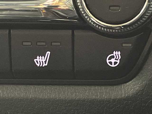 マツダ ＣＸ－３０ 20S Lパッケージ 岐阜県 2020(令2)年 4.5万km マシーングレープレミアムM 純正ナビ/(Bluetooth.CD.DVD.フルセグTV)/HDMI/全方位カメラ/追従型クルーズコントロール/衝突軽減ブレーキ/レーンキープアシスト/横滑り防止/ブラインドスポットモニター/パワーシート/パワーバックドア/LEDヘッドライト/オートライト/オートマチックハイビーム/メモリーシート/ハンドルヒーター