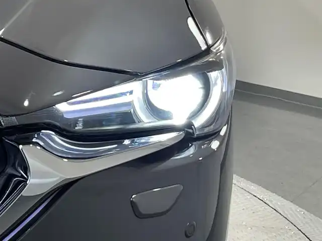 マツダ ＣＸ－８ XD Lパッケージ 愛知県 2018(平30)年 5.5万km マシーングレープレミアムM 純正8.8インチナビ/BOSEサウンド/衝突軽減ブレーキ/360度ビューカメラ/レーダークルーズコントロール/ビルトインETC/シートヒーター/LEDヘッドライト/ブラインドスポットモニター/ステアリングヒーター/パワーシート/電動リアゲート/フルセグTV/Bluetooth/コーナーセンサー/レーンキープアシスト/オートハイビーム/プッシュスタート/USB接続/ルーフレール/スマートキー/DVD再生/アイドリングストップ/ミュージックプレイヤー接続/純正フロアマット/純正アルミホイール/オートライト/本革シート/禁煙車/ディーゼル/ターボ/4WD/ウィンカーミラー/電動格納ミラー/フォグランプ/2列目センターコンソール/Wエアコン/トラクションコントロールシステム/電動パーキングブレーキ/オートブレーキホールド/ステアリングリモコン/ヘッドアップディスプレイ