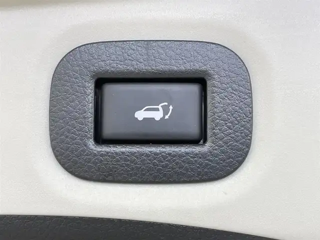 日産 エクストレイル 20Xi エクストリーマーX 千葉県 2018(平30)年 4.8万km インペリアルアンバーP プロパイロット/エマージェンシーブレーキ/レーンキープアシスト/コーナーセンサー/純正9インチメモリナビ/　CD/DVD/BT/フルセグ/アラウンドビューモニター/デジタルインナーミラー/パワーバックドア/電子パーキンウ/オートホールド /ETC/スマートキー＆プッシュスタート/LEDヘッドライト/フォグライト/純正18インチアルミホイール