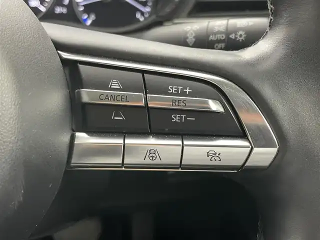 マツダ ＣＸ－３０ XD プロアクティブツーリングセレクション 岡山県 2023(令5)年 3.7万km プラチナクォーツメタリック 純正８．８インチメモリナビゲーション		/【フルセグ/Bluetooth/DVD/CarPlay/HDMI】		/３６０°カメラ		/純正18inアルミホイール+サマータイヤ：装着				/レーダークルーズコントロール		/ビルトインETC		/シートメモリー/パワーシート/ヘッドアップディスプレイ/LEDヘッドライト（AUTO機能付き）	/ハイビームアシスト	/シートヒーター		/横滑り防止機能		/衝突軽減システム		/車線逸脱防止システム		/純正ドライブレコーダー				/スマートキー			/プッシュスタート		/コーナーセンサー		/ドアバイザー		/フロアマット				/取扱説明書		/スペアキー×１		/新車保証書