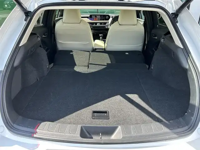 レクサス ＵＸ 250h バージョンL 香川県 2020(令2)年 3.9万km ソニッククォーツ 登録時走行距離38821km/サンルーフ/純正10.3型SDナビ/（Bluetooth/DVD/USB/AUX/MSV）/フルセグTV（走行中視聴可能）/バックカメラ/前後ドライブレコーダー【ZDR-035】/Lexus Safety System +/・プリクラッシュセーフティ/・レーンディパーチャーアラート＆キーピングシステム/・オートマチック＆アダプティブハイビームシステム/・アダプティブクルーズコントロール/・ロードサインアシスト/ブラインドスポットモニター/クリアランスソナー/パワーバックドア/白革シート/前席ベンチレーション（ヒーター/クーラー）/前席パワーシート/運転席メモリー機能/革巻きステアリング/ステアリングヒーター/ステアリングスイッチ/3眼LEDヘッドライト/LEDフォグライト/ヘッドライトウォッシャー/電動パーキングブレーキ/オートブレーキホールド/レーダー探知機【ALPHA-D1V】/純正ビルトインETC2.0/純正18インチアルミホール/純正トノカバー/フロアマット/ドアバイザー/オート開閉機能付電動格納ミラー/ISOFIX