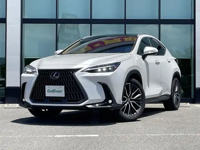 レクサス ＮＸ 250 バージョンL 和歌山県 2023(令5)年 1万km ソニッククォーツ 純正ナビ/パノラミックビューモニター/革巻きステアリング/サンルーフ/三眼LEDヘッドライト/レザーシート/パワーシート/ポジションメモリー/シートヒーター/シートエアベンチレーション/ステアリングヒーター/純正アルミホイール/ドライブレコーダー/パワーバックドア/置くだけ充電/プリクラッシュセーフティー/BSM/クリアランスソナー/フォグランプ