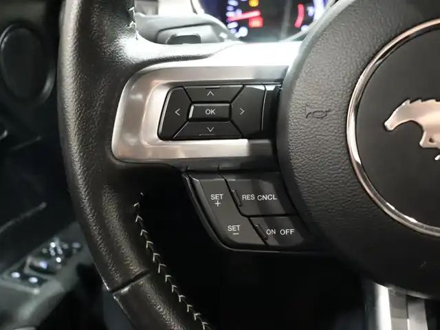 フォード マスタング 50イヤーズED 静岡県 2015(平27)年 5万km ガンＭ 左ハンドル350台限定/黒革シート/前席ベンチレーション/前席シートヒーター/ACC/バックカメラ/パーキングアシスト/前後ドラレコ(ZDR-016)/パドルシフト/アンビエントライト/スペアキー