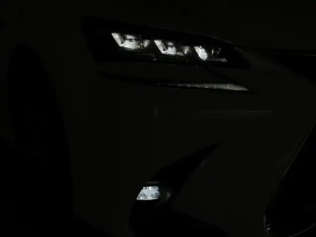 レクサス ＧＳ 450h Fスポーツ 群馬県 2017(平29)年 10.2万km ホワイトノーヴァガラスフレーク 三眼LEDヘッドライト/・ヘッドランプクリーナー/純正12.3インチワイドディスプレイナビ/・フルセグTV/AM/FM/CD/DVD/Bluetooth/ブラインドスポットモニター/クリアランスソナー/ビルトインETC2.0/＝＝＝＝＝＝＝＝＝＝＝＝＝＝＝/”F SPORT”専用本革シート/・運転席/助手席パワーシート/・運転席/助手席ベンチレーション/・運転席/助手席シートヒーター/ステアリングヒーター/運転席ポジションメモリー/Lexus Safety System/・プリクラッシュセーフティシステム/・レーンキーピングアシスト/・オートマチックハイビーム/・アダプティブハイビーム/・レーダークルーズコントロール/電動リアウインドウサンシェード/電動パーキングブレーキ/プッシュスタート/スマートキー