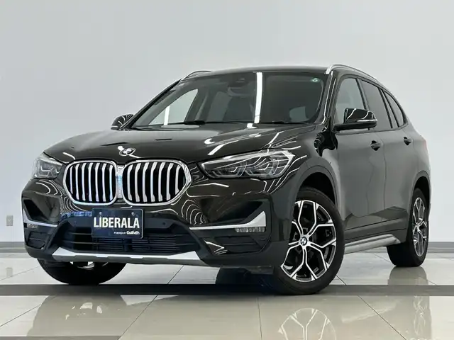 ＢＭＷ Ｘ１ xDrive 18d xライン 岡山県 2019(令1)年 4.8万km スパークリングストームブリリアントエフェクト BMW純正iDrive/Rカメラ/ACC/インテリジェントセーフティー/衝突軽減ブレーキ/歩行者警告/車線逸脱警告/ミラー一体型ETC/ハーフレザーシート/パワーシート/パーキングアシスト/純正18インチアルミ/パワーテールゲート/Bluetooth/USB/ＬＥＤヘッドライト/オートライト/オートワイパー/ＤＳＣ