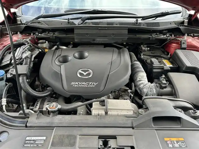 マツダ ＣＸ－５ XD Lパッケージ 栃木県 2015(平27)年 5.9万km ソウルレッドプレミアムメタリック スマートシティブレーキシステム/BOSEサウンド/マツダコネクトナビ/フルセグTV/DVD/Bluetooth/USB/バック/サイドカメラ/ETC/ドライブレコーダー/レーダークルーズコントロール/レーンキープアシスト/ブラインドスポットモニター/白革シート/パワーシート/シートヒーター/コーナーセンサー/純正19インチAW/トノカバー/保証書