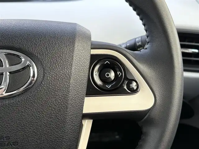 トヨタ プリウス S 愛知県 2016(平28)年 1.6万km スティールブロンドM ワンオーナー/純正SDナビ(フルセグ/BT/AM/FM)/ETC/トノカバー/純正ラゲージマット/純正フロアマット/ABS/横滑り防止装置/盗難防止装置/オートライト/ドアバイザー/電動格納式ミラー/パワーステアリング/パワーウィンドウ/純正アルミホイール/保証書/取扱説明書/スマートキー/スペアキー