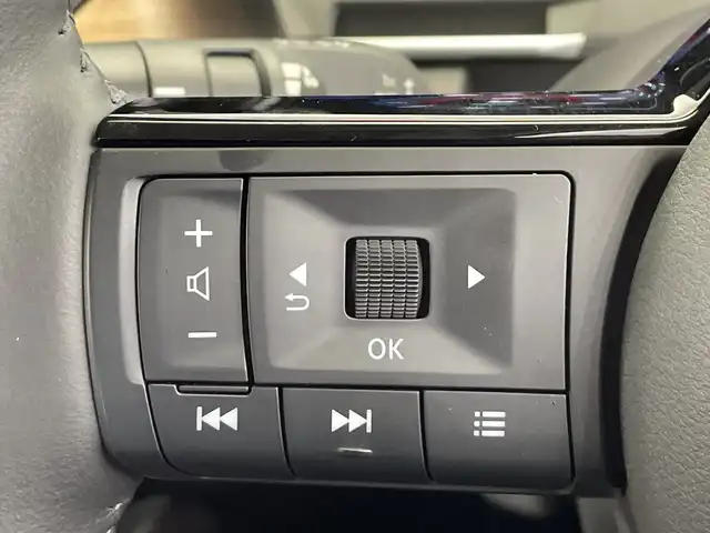 日産 オーラ G レザーエディション 栃木県 2022(令4)年 2.6万km ミッドナイトブラック/サンライズカッパー 純正ナビ/（フルセグTV/Bluetooth/USB/AppleCarPlay）/寒冷地仕様/BOSEサウンド/プロパイロット/全方位カメラ/バックカメラ/フロントカメラ/サイドカメラ/ステアリングヒーター/前方ドライブレコーダー/前後クリアランスソナー