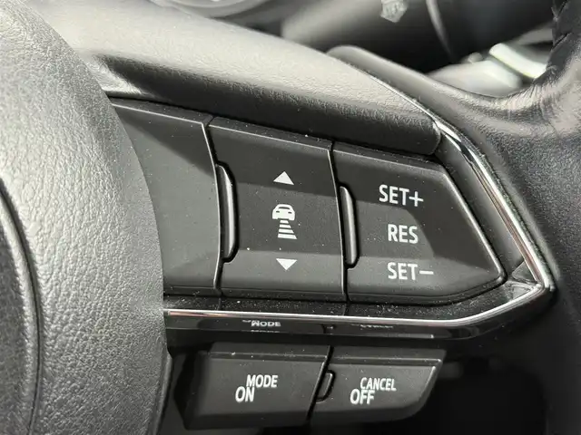 マツダ ＣＸ－８ XD プロアクティブ 愛知県 2018(平30)年 6.3万km ソウルレッドクリスタルM ブラインドスポットモニター/全方位モニター/純正フリップダウンモニター/レーダークルーズコントロール/レーンキープアシスト/純正ナビ/フルセグTV/Bluetooth接続/DVD/CD/AM/FM/USB/シートヒーター/本革ステアリング/ステアリングヒーター/パワーバックドア/ドライブレコーダー/電動パワーシート/LEDヘッドライト/オートライト/コーナーセンサー/純正フロアマット/純正19インチアルミホイール/ETC/スマートキー