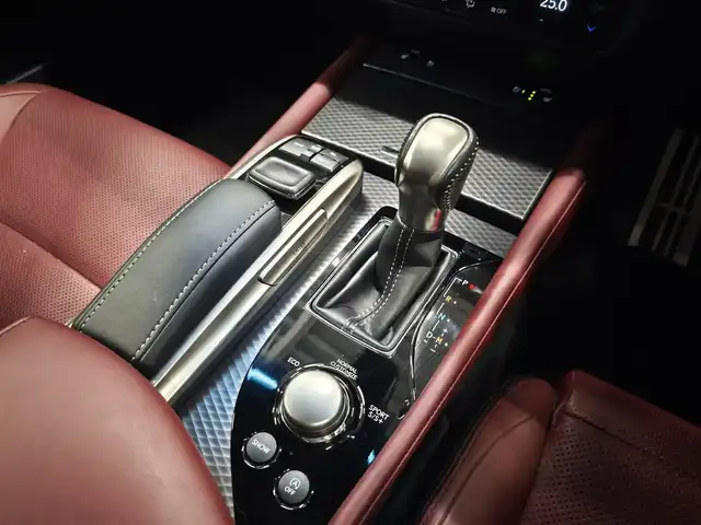 レクサス ＧＳ 200t Fスポーツ 群馬県 2016(平28)年 4.8万km ダークグレーマイカ 赤革シート/シートベンチレーション/三眼LEDライト/前席パワーシート/純正ナビ/バックカメラ/スマートキー/フルセグTV/ACC/レクサスセーフティ/パワーバックドア/ステアリングヒーター