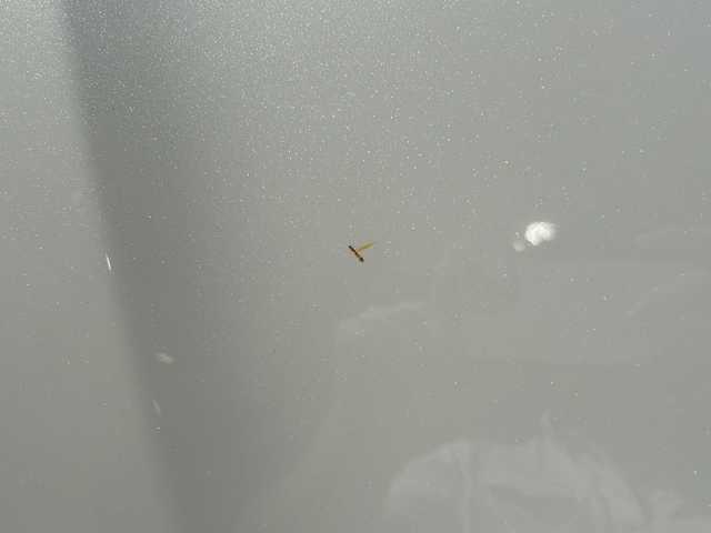 トヨタ シエンタ ファンベースG 静岡県 2019(令1)年 3.9万km ホワイトパールクリスタルシャイン 社外SDナビ/・CD/・DVD/・フルセグＴＶ/・Bluetooth/・USB/・AM/・FM/主要装備/・両側パワスラ/・衝突軽減/・レーンキープ/・コーナーセンサー後/・バックカメラ/・ETC/・ドラレコ前/・レザー調シートカバー/・シートヒーターD/N席/・ハンドルヒーター/・ステリモ/・スマートキー/・プッシュスタート/・スペアキー1本/・純正フロアマット/・LEDヘッドライト/・オートライト/・オートハイビーム