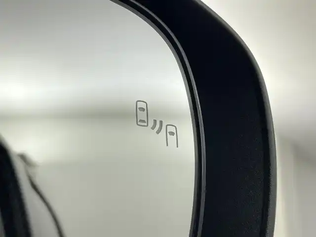 トヨタ ライズ Z 埼玉県 2020(令2)年 2.4万km ベージュ 純正ナビ　アラウンドビューモニター　シートヒーター　禁煙　ＢＳＭ　コーナーセンサー　オートハイビーム　レーダークルーズコントロール　レーンキープアシスト　スペアキー　衝突軽減システム　ＥＴＣ