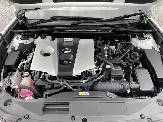 レクサス ＥＳ 300h 滋賀県 2018(平30)年 5万km ソニッククォーツ 純正ナビ/(フルセグ/Bluetooth/CD/DVD)/レクサスセーフティー/・プリクラッシュセーフティ/・レーンキープアシスト/・レーダークルーズコントロール/・標識認識/・ブラインドスポットモニター/・先行車発進告知/・オートハイビーム/LEDオートライト/フォグ/サンルーフ/リアサンシェード/レザーシート/パワーシート/前席シートヒーター/前席ベンチレーション/ステアリングヒーター/電動リアゲート/電動パーキング/ブレーキホールド/バックカメラ/純正ドラレコ/ビルトインETC/USB