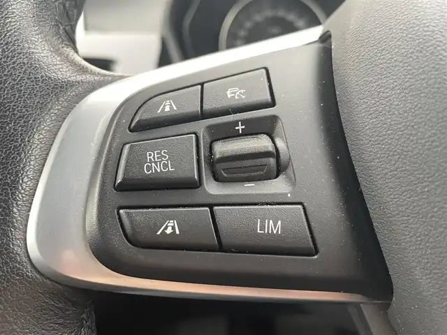 ＢＭＷ Ｘ１ sDrive 18i Xライン 群馬県 2017(平29)年 1.9万km パール 純正ナビ(CD/DVD/Bloutooth/AM/FM)/純正ドライブレコーダー/バックカメラ/ETC/LEDヘッドライト/オートライト/オートマチックハイビーム/ステアリングスイッチ/電動リアゲート/レーンキープアシスト/クルーズコントロール(追従走行)/電動格納ミラー/ルーフレール/純正アルミホイール/コーナーセンサー/USB入力端子/盗難防止機能/横滑り防止/取扱説明書/保証書/スペアキー