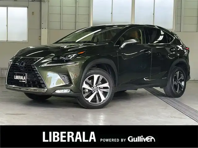 レクサス ＮＸ 300h バージョンL 兵庫県 2021(令3)年 2.2万km テレーンカーキマイカM 純正ナビ/全方位カメラ/地デジTV/Bluetooth/電動フロントシート/後席電動リクライニング/全席シートヒーター/フロントベンチレーションシート/パワーバックドア/ドライブレコーダー前後カメラ/ヘッドアップディスプレイ/USB/ACC/LKA
