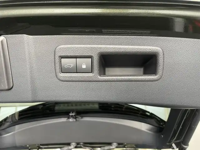 レクサス ＮＸ 300h バージョンL 兵庫県 2021(令3)年 2.2万km テレーンカーキマイカM 純正ナビ/全方位カメラ/地デジTV/Bluetooth/電動フロントシート/後席電動リクライニング/全席シートヒーター/フロントベンチレーションシート/パワーバックドア/ドライブレコーダー前後カメラ/ヘッドアップディスプレイ/USB/ACC/LKA
