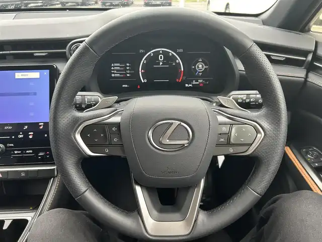 レクサス ＬＢＸ モリゾウ RR ビスポークビルド 岡山県 2025(令7)年 0.5万km グレー 登録時走行距離4958km/純正9.8インチディスプレイオーディオ/フルセグTV(AM.FM.TV.BT)/全方位カメラ/ETC2.0/前後ドライブレコーダー/ブラインドスポットモニター/シートヒーター/ステアリングヒーター/クリアランスソナー/衝突軽減ブレーキ/レーダークルーズコントロール/レーンキープアシスト/横滑り防止装置/オートブレーキホールド/オートライト/オートマチックハイビーム/パワーバックドア/19インチ純正AW/純正フロアマット/イエローキャリパー