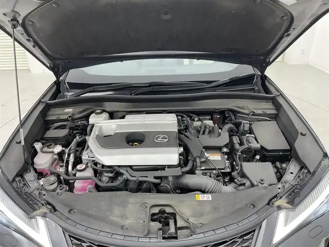 レクサス ＵＸ 250h Fスポーツ 茨城県 2023(令5)年 3.7万km ソニッククロム 純正ナビ/・全方位モニター/・Bluetooth接続/・フルセグテレビ/・アップルカープレイ/パワーシート/シートヒーター/シートクーラー/ハンドルヒーター/三眼LEDヘッドライト/サンルート/電動リアゲート/ETC/革シート/オレンジキャリパー/プッシュスタート/コーナーセンサー/クルーズコントロール/オートマチックハイビーム/レーンアシスト