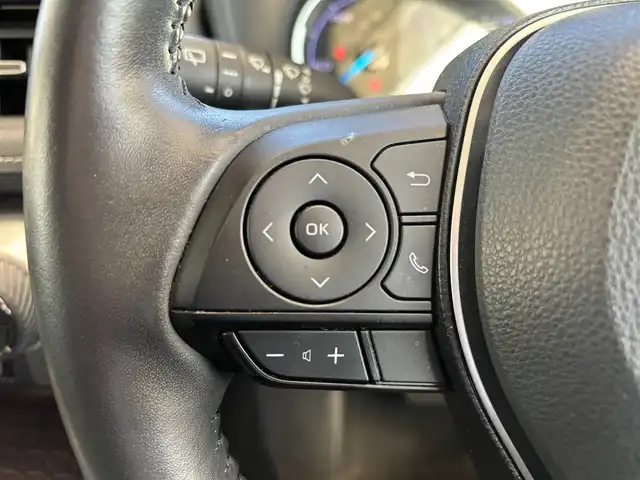 トヨタ ＲＡＶ４ ハイブリットG 愛知県 2019(令1)年 7.1万km ホワイトパールクリスタルシャイン ワンオーナー/サンルーフ/4WD/バックカメラ/追従クルーズコントロール/モデリスタエアロ/純正ナビ/Bluetooth/DVD//フルセグTV/ETC/電動リアゲート/ドライブレコーダー/パワーシート/シートヒーター/前後コーナーセンサー/純正アルミホイール/純正フロアマット/オートマチックハイビーム/スペアキー