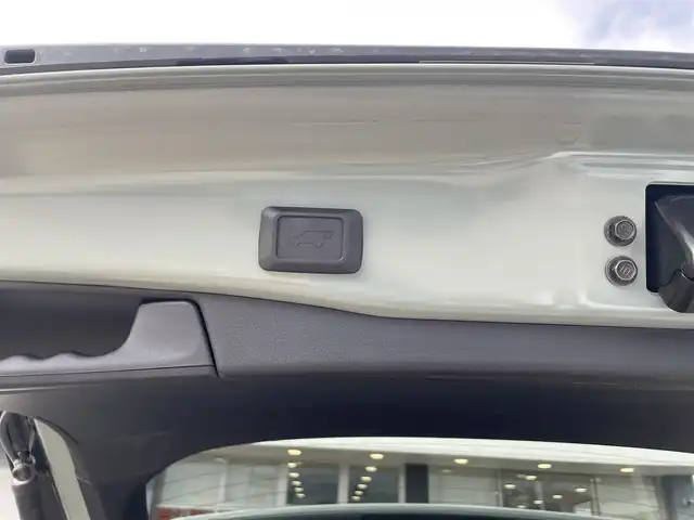 トヨタ ＲＡＶ４ アドベンチャー 福島県 2020(令2)年 4.8万km アーバンカーキ 純正9インチメモリーナビ/CD/DVD/SD/BT/USB/HDMI/フルセグTV/モデリスタ ノーズプロテクター/モデリスタ バンパープロテクター/Toyota Safety Sense/専用合成皮革シート/レーダークルーズコントロール/ブラインドスポットモニター/クリアランスソナー/バックカメラ/パワーバックドア/パワーシート/オートハイビーム/LEDヘッドライト/ドライブレコーダー/ビルトインETC/USB充電ポート/プッシュスタート/ドアバイザー/フロアマット